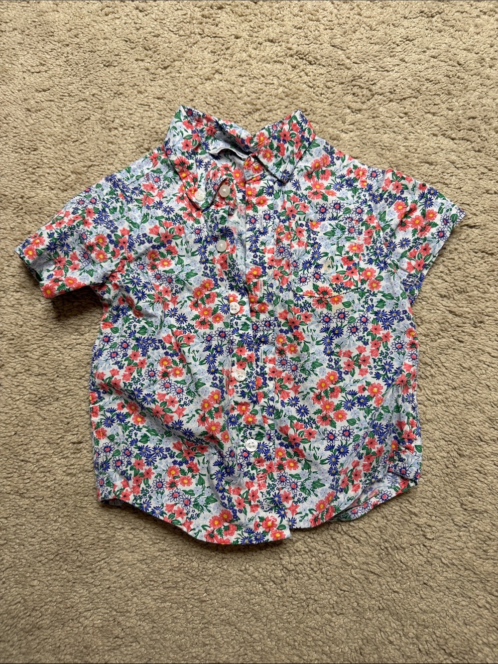 Janie and Jack Floral Short-Sleeve Button-Down Shirt - Pink, Blue & Green